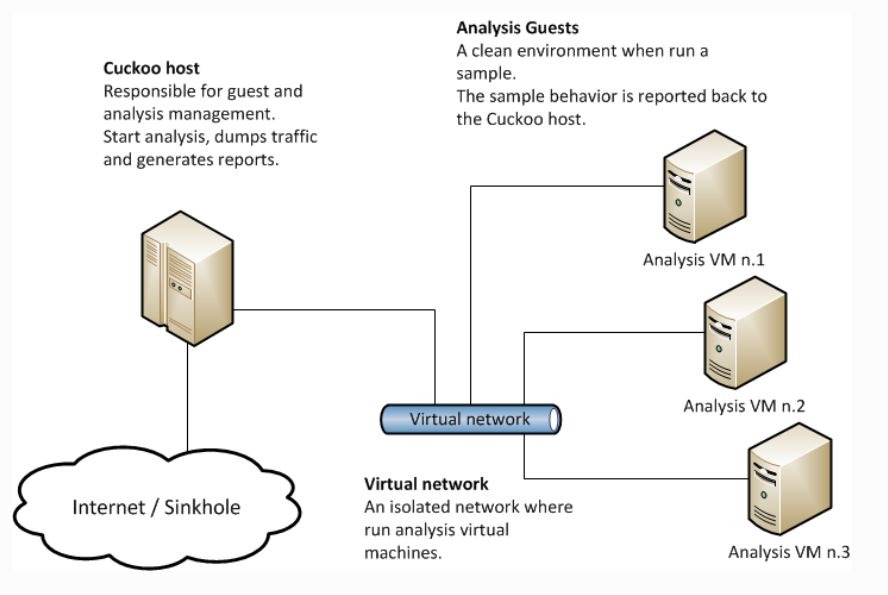 Cuckoo Sandbox