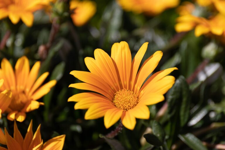 SmartFlower – How These Flower-Shaped Solar Panel Systems Track the Sun